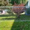 Přenosná mládežnická hliníková fotbalová brána Junior 5 m x 2 m – PBM 80